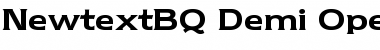 Download Newtext BQ Font Download Newtext BQ Font