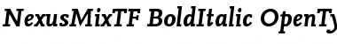 Download NexusMixTF-BoldItalic Font Download NexusMixTF-BoldItalic Font