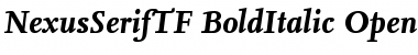 Download NexusSerifTF-BoldItalic Font Download NexusSerifTF-BoldItalic Font