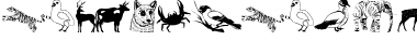 Download AnimalsAnywhere Font Download AnimalsAnywhere Font