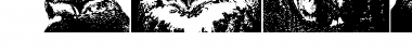 Download AParliamentofOwls Font Download AParliamentofOwls Font