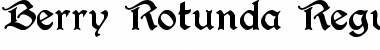 Download Berry Rotunda Font Download Berry Rotunda Font