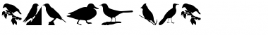 Download Birds TFB Font Download Birds TFB Font