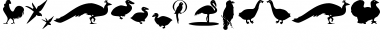 Download BirdsOThree Font Download BirdsOThree Font