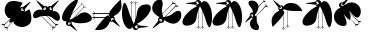 Download BirdsToolbox Font Download BirdsToolbox Font