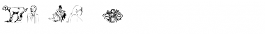 Download Bose_P Font Download Bose_P Font