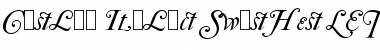 Download Caslon Italic Swashes LET Font Download Caslon Italic Swashes LET Font
