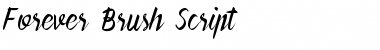 Download Forever Brush Script Font Download Forever Brush Script Font
