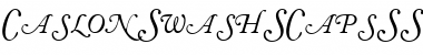 Download CaslonSwashSCapsSSK Font Download CaslonSwashSCapsSSK Font