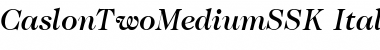Download CaslonTwoMediumSSK Font Download CaslonTwoMediumSSK Font