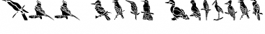 Download HFF Bird Stencil Font Download HFF Bird Stencil Font
