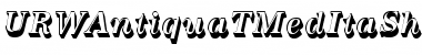Download URWAntiquaTMedItaSh1 Font Download URWAntiquaTMedItaSh1 Font