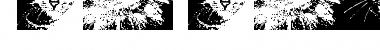 Download CatBats Font Download CatBats Font