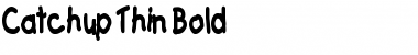 Download Catchup Thin Font Download Catchup Thin Font