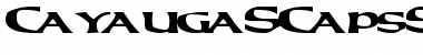Download CayaugaSCapsSSK Font Download CayaugaSCapsSSK Font