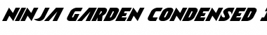 Download Ninja Garden Condensed Italic Font Download Ninja Garden Condensed Italic Font
