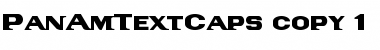 Download PanAmTextCaps Font Download PanAmTextCaps Font