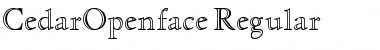 Download CedarOpenface Font Download CedarOpenface Font