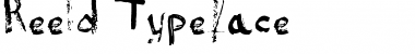 Download Reeld Typeface Font Download Reeld Typeface Font