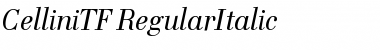 Download CelliniTF-RegularItalic Font Download CelliniTF-RegularItalic Font