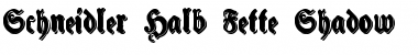 Download Schneidler Halb Fette Shadow Font Download Schneidler Halb Fette Shadow Font