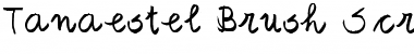 Download Tanaestel Brush Script 01 Font Download Tanaestel Brush Script 01 Font