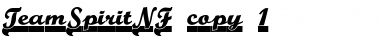 Download Team Spirit NF Font Download Team Spirit NF Font
