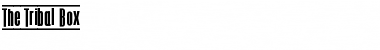 Download The Tribal Box Font Download The Tribal Box Font