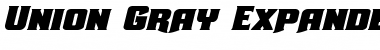 Download Union Gray Expanded Italic Font Download Union Gray Expanded Italic Font