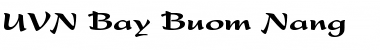 Download UVN Bay Buom Nang Font Download UVN Bay Buom Nang Font