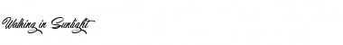 Download Walking in Sunlight Font Download Walking in Sunlight Font