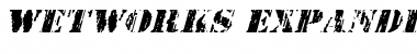 Download Wetworks Expanded Italic Font Download Wetworks Expanded Italic Font