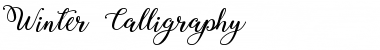 Download Winter Calligraphy Font Download Winter Calligraphy Font