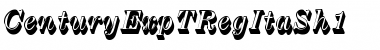 Download CenturyExpTRegItaSh1 Font Download CenturyExpTRegItaSh1 Font