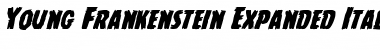 Download Young Frankenstein Expanded Italic Font Download Young Frankenstein Expanded Italic Font