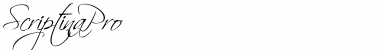 Download Scriptina Pro Font Download Scriptina Pro Font