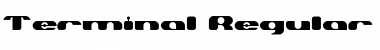 Download Terminal Font Download Terminal Font