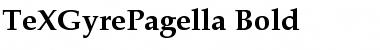 TeX Gyre Pagella Bold Font