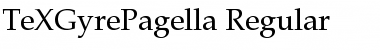 TeX Gyre Pagella Regular Font