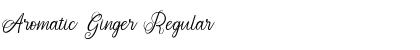 Download Aromatic Ginger Font Download Aromatic Ginger Font