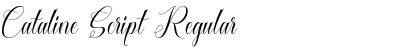 Download Cataline Script Font Download Cataline Script Font