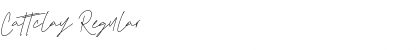 Download Cattclay Font Download Cattclay Font