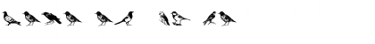 Download Madarak Font Download Madarak Font