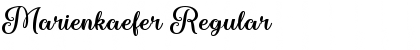 Download Marienkaefer Font Download Marienkaefer Font