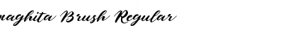 Download naghita Brush Font Download naghita Brush Font