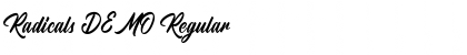 Download Radicals DEMO Font Download Radicals DEMO Font