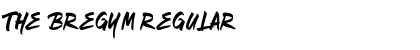Download The Bregym Font Download The Bregym Font