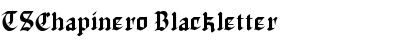 Download TSChapinero Font Download TSChapinero Font