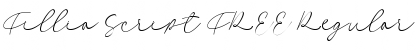 Download Fillia Script FREE Font Download Fillia Script FREE Font