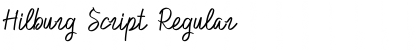 Download Hilburg Script Font Download Hilburg Script Font
